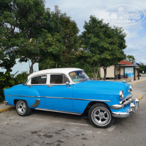 фото из отзыва ID 1923226