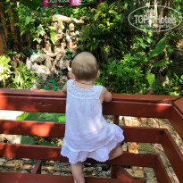 фото из отзыва ID 1923238