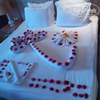 фото из отзыва ID 1923300