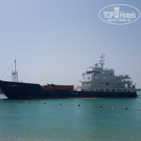 фото из отзыва ID 1923306