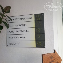 фото из отзыва ID 1923306