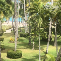 фото из отзыва ID 1923368