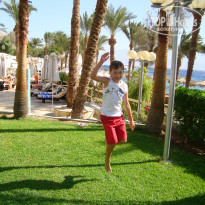 фото из отзыва ID 1923400