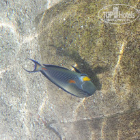 фото из отзыва ID 1923550