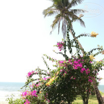 фото из отзыва ID 1923726