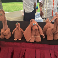 фото из отзыва ID 1923752