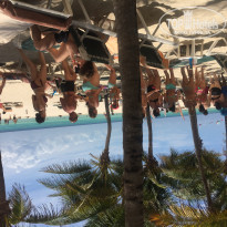 фото из отзыва ID 1923752