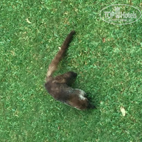 фото из отзыва ID 1923752