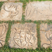 фото из отзыва ID 1923761