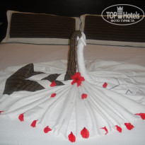 фото из отзыва ID 1923756