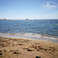 фото из отзыва ID 1923824