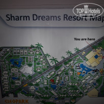 фото из отзыва ID 1923889