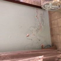 фото из отзыва ID 1923917