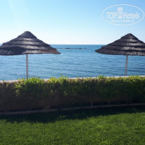 фото из отзыва ID 1923914