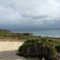 фото из отзыва ID 1923957