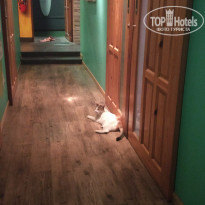 фото из отзыва ID 1923968