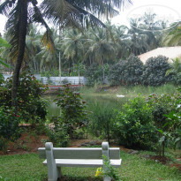 фото из отзыва ID 1924024