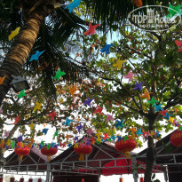 фото из отзыва ID 1924041