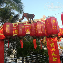 фото из отзыва ID 1924041