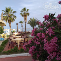 фото из отзыва ID 1923974