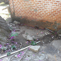 фото из отзыва ID 1924181