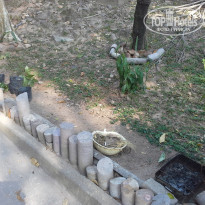 фото из отзыва ID 1924181