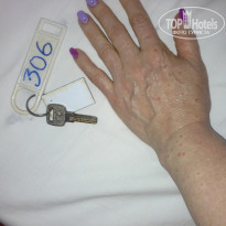 фото из отзыва ID 1924181