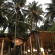 Photos Sea Star Resort