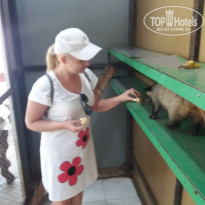 фото из отзыва ID 1924084