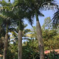 фото из отзыва ID 1924241