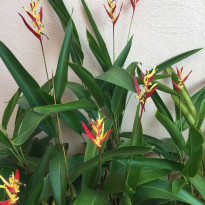 фото из отзыва ID 1924241