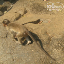 фото из отзыва ID 1924241