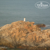 фото из отзыва ID 1924241