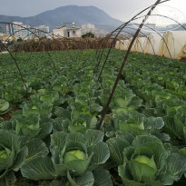 фото из отзыва ID 1924333