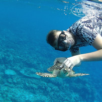 фото из отзыва ID 1924382