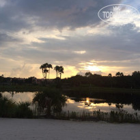 фото из отзыва ID 1924523