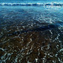 фото из отзыва ID 1924528