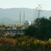 фото из отзыва ID 1924528