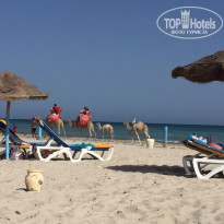 фото из отзыва ID 1924271