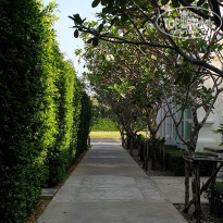 фото из отзыва ID 1924576