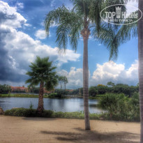 фото из отзыва ID 1924523