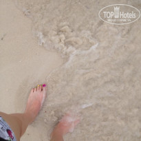 фото из отзыва ID 1924506