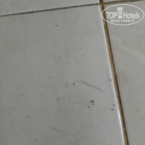 фото из отзыва ID 1924665