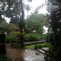 фото из отзыва ID 1924726