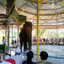 фото из отзыва ID 1924886