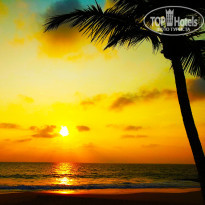 фото из отзыва ID 1924945