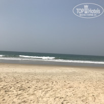 фото из отзыва ID 1924950