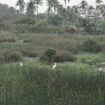 фото из отзыва ID 1924950