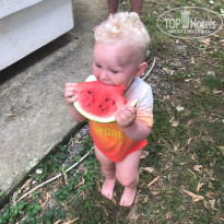 фото из отзыва ID 1925003