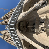 фото из отзыва ID 1925055